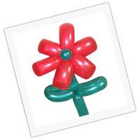 Balloon Modelling